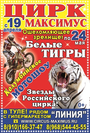 Цирк-шапито Максимус в Туле Афиша цирка-шапито Максимус на апрель 2015 в Туле рядом с гипермаркет Линия
