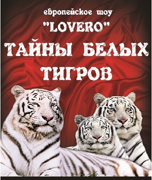 Тульский цирк афиша февраль 2016 Тайны белых тигров Тульский цирк афиша февраль 2016 Тайны белых тигров