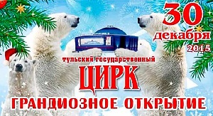 Тульский цирк афиша январь 2016 новогодняя программа Новогодний феерверк Тульский цирк афиша январь 2016 новогодняя программа Новогодний феерверк