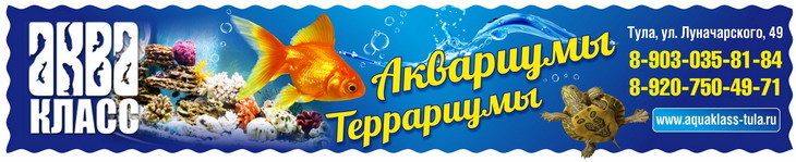 АкваКласс магазин аквариумов в Туле, аквариумы, террариумы, аквариумные рыбки Тула, фильтр для аквариума Тула, компрессоры для аквариума АкваКласс магазин аквариумов в Туле, аквариумы, террариумы, аквариумные рыбки Тула, фильтр для аквариума Тула, компрессоры для аквариума