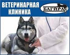 Врачи областной клинической больницы 2 корпус